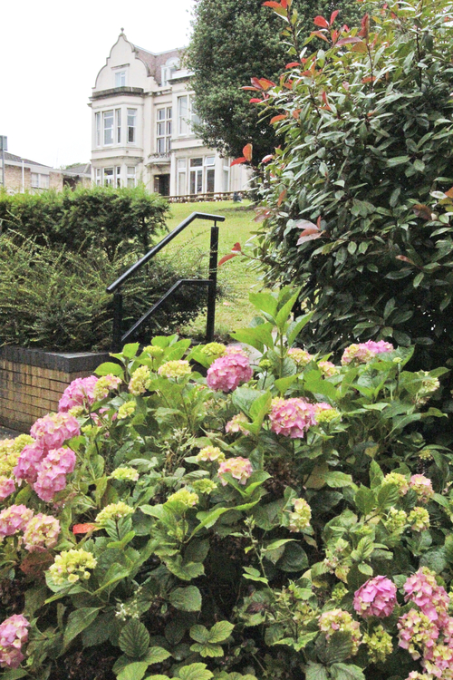 Здание школы Embassy Summer London - Kingswood Hall Здание школы Embassy Summer London - Kingswood Hall