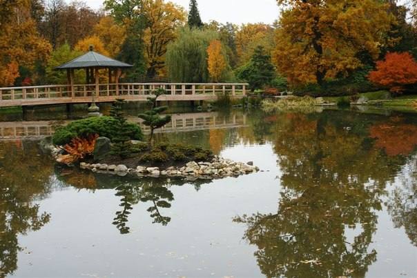 Японский сад, Вроцлав
