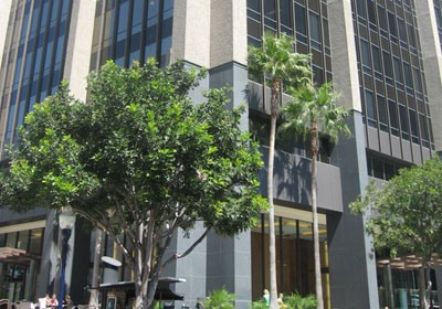 Embassy English, San Diego