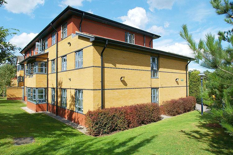 Общежитие University of Surrey Общежитие University of Surrey