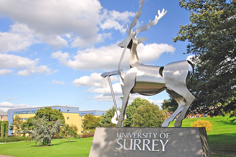 Символ University of Surrey Символ University of Surrey