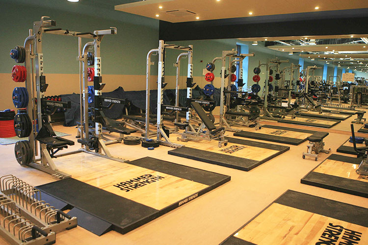 Спортивный зал University of Surrey Спортивный зал University of Surrey
