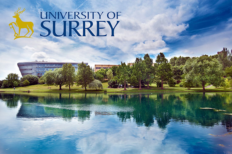 Общий вид University of Surrey Общий вид University of Surrey