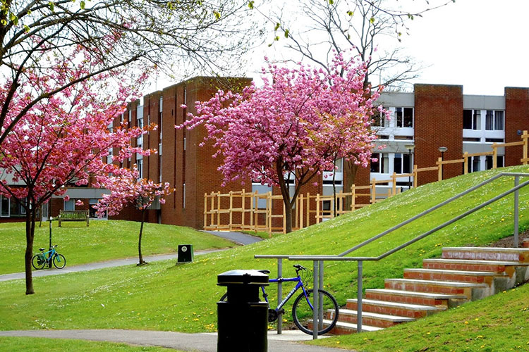 Студенты University of Sussex Студенты University of Sussex