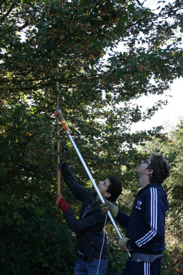 IB conservation work IB conservation work
