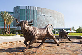 University of South Florida University of South Florida