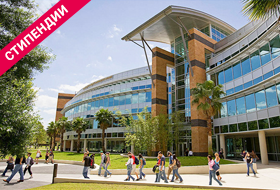 University of Central Florida ⭐ University of Central Florida ⭐