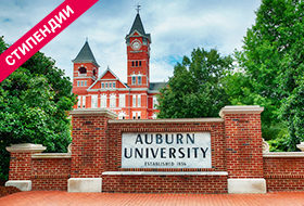 Auburn University ⭐