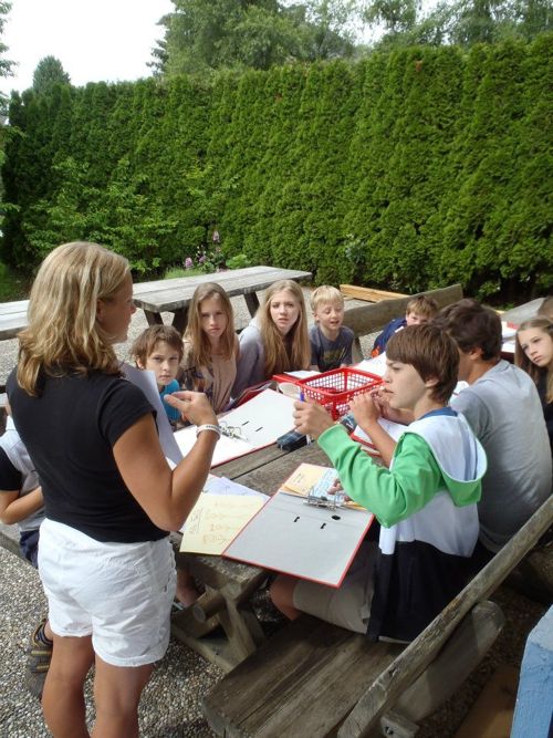 Young Austria, Carinth Young Austria, Carinth