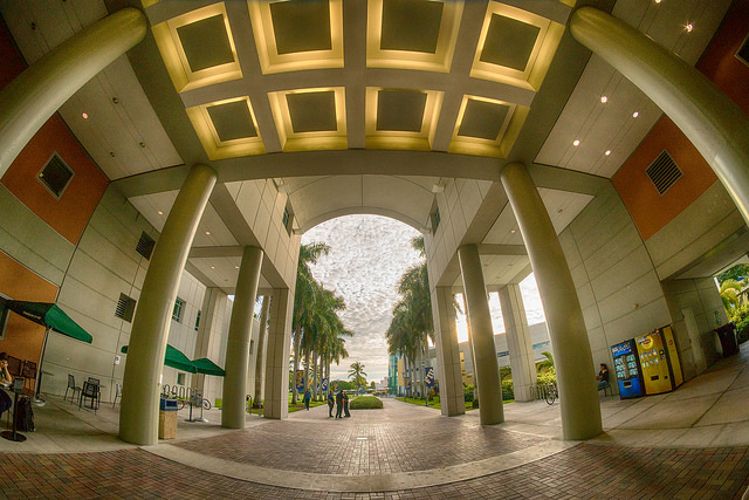 Внутри Florida International University