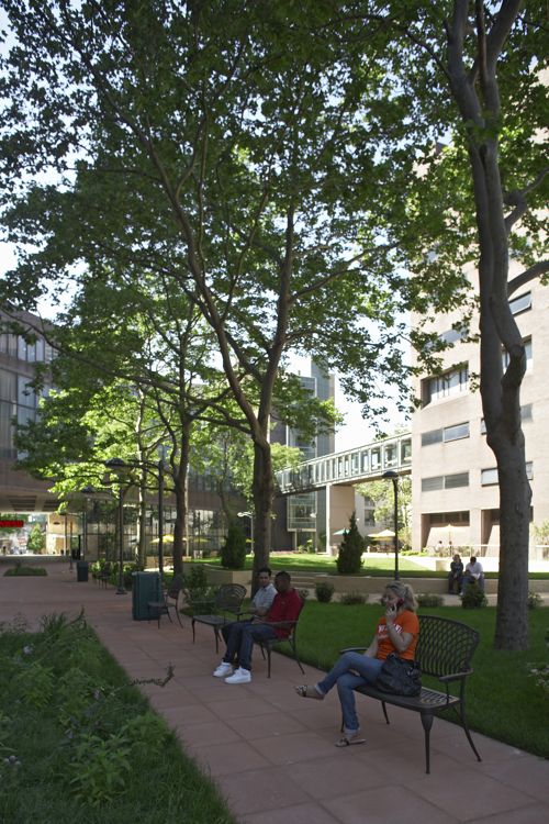 Long Island University Long Island University