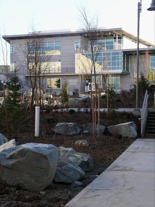 Задний двор Highline College Задний двор Highline College