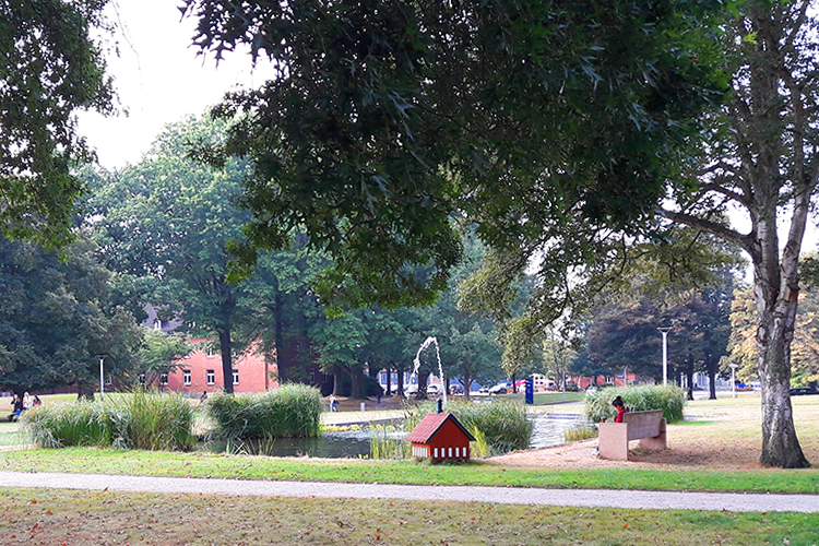 Мини-парк в Jacobs University