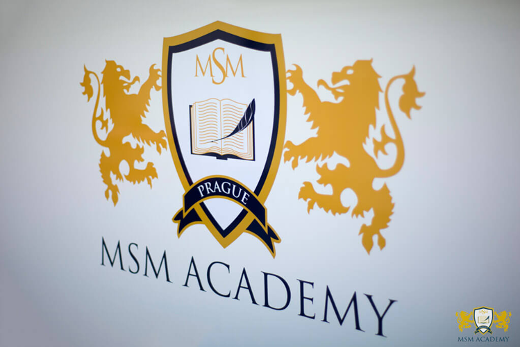 MSM Academy