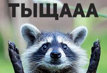 Дарим $1000 на курсы английского в Канаде!