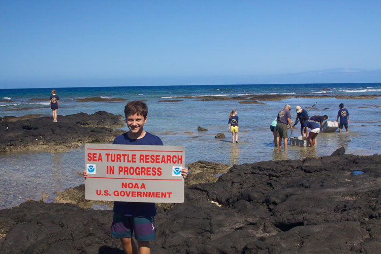 Экология и охрана природы включены в программу Hawaii Preparatory Academy. Ученики изучают морских черепах